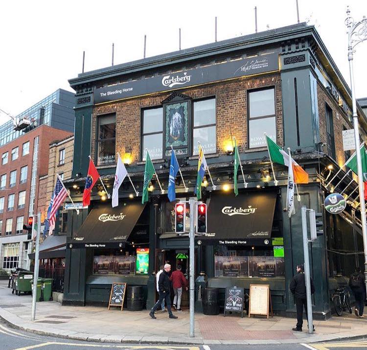 Pub to watch Six Nations Dublin - The Bleeding Horse