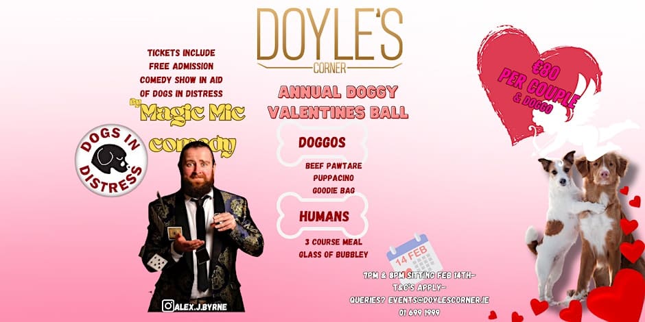 Valentines Day Idea Dublin - Doyles Corner