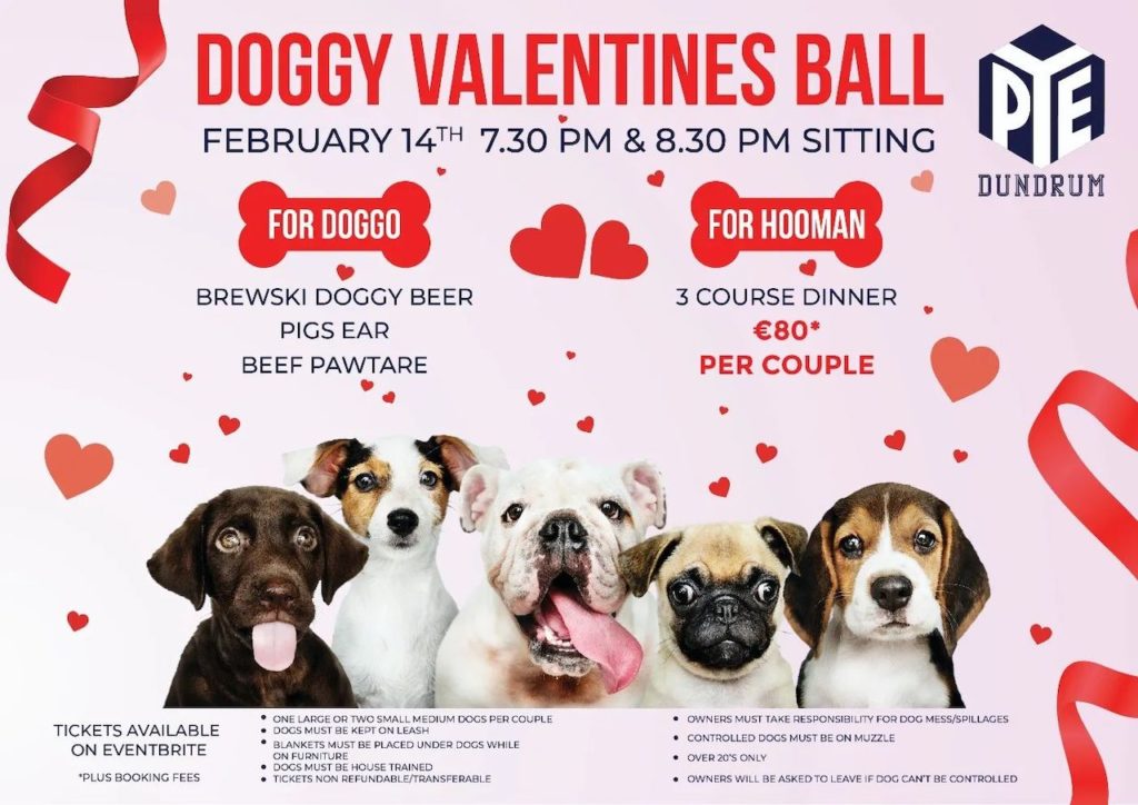 Valentines Day Idea Dublin - PYE Dundrum Doggy Date Night